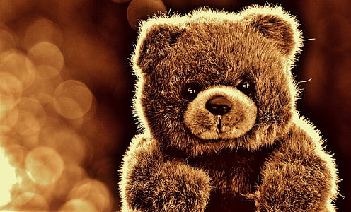 brown bear graphic with bokeh lights