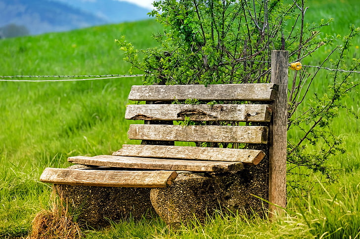 brown wooden bench with background of mountain