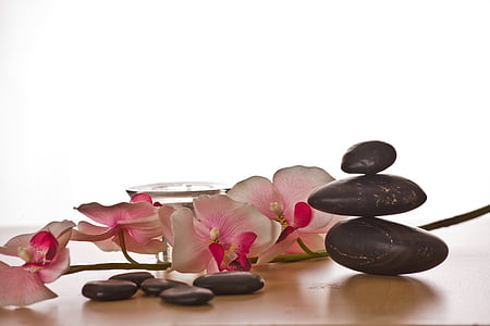 pink orchids beside massage stones