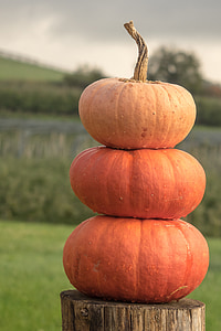 pumpkins on brown wooden post