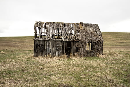 abandoned brown wooden house on green grass field under cloudy sky
