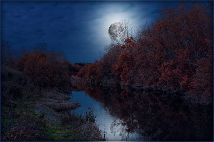 full moon above river bank