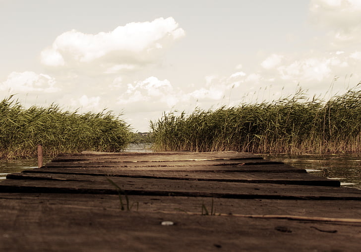 brown wooden dock surrounded by grass field