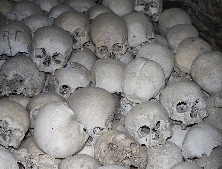 white skull lot in dark place