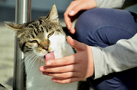 person holding cat's tongue
