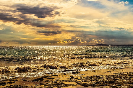 landscape photo of shore during golden hour