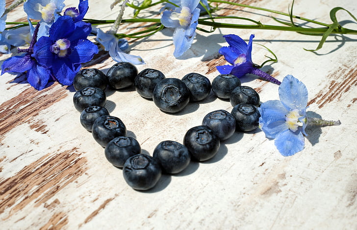 heart-shaped blueberries with blue petaled flowers