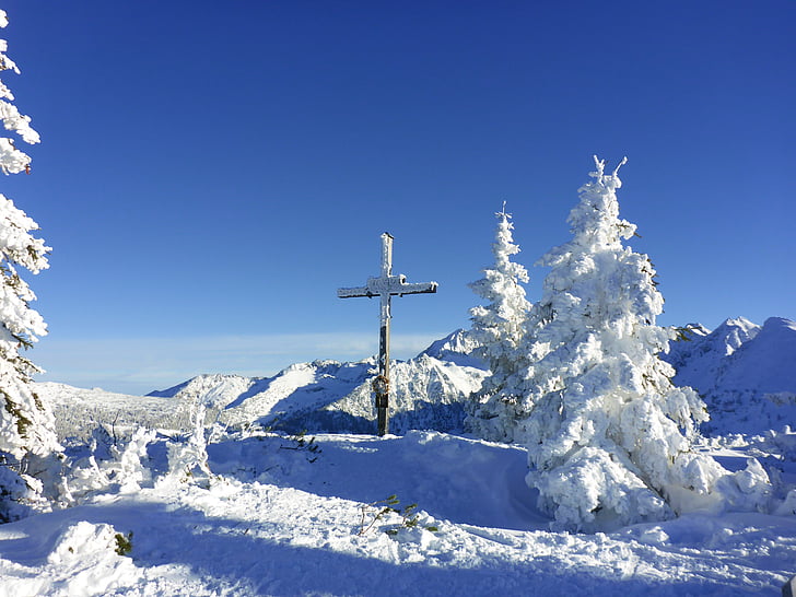 brown cross covered by snow near mountain and trees
