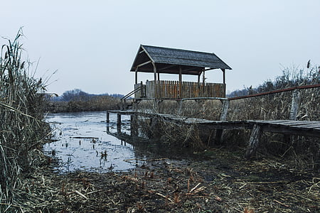 brown wooden shed with dock bridge