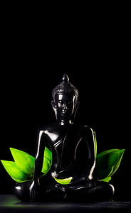 black Buddha figurine and green lotus leaf