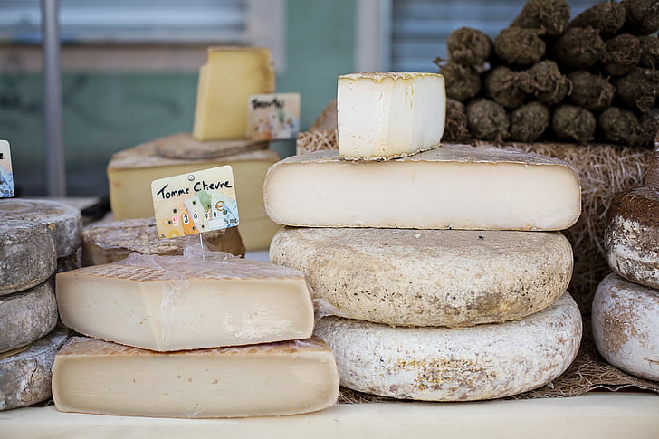 shallow focus photography of assorted cheese