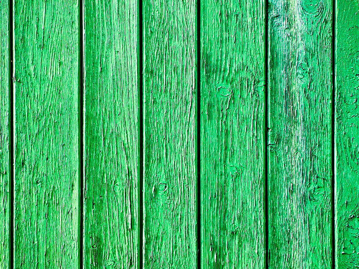 photo of green painted wall