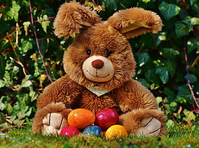 photo of brown teddy bear with Easter bunny egg