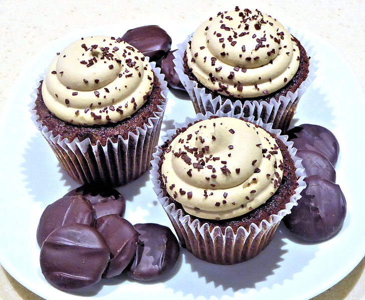 three chocolate cupcakes on ceramic plate
