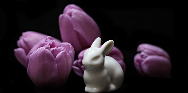 white ceramic rabbit figurine near purple tulip flowers on black platform