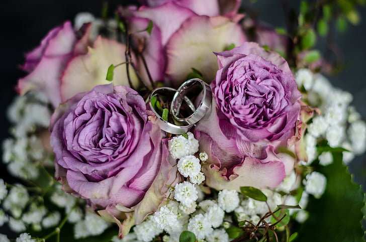 two silver-colored wedding bands in between purple roses