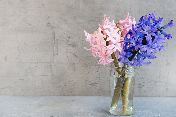 pink and purple flowers in clear glass jar