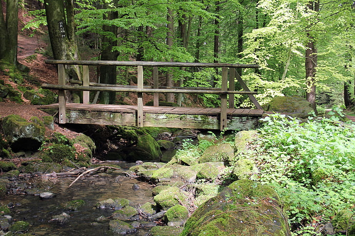 wooden bridge surrounded with trees at daytime