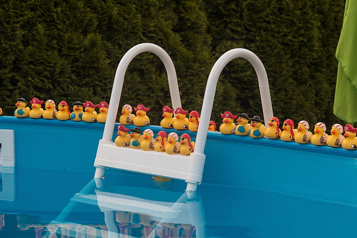 rubber duck toys on above ground pool frame