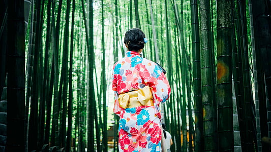 woman standing in bamboo forest