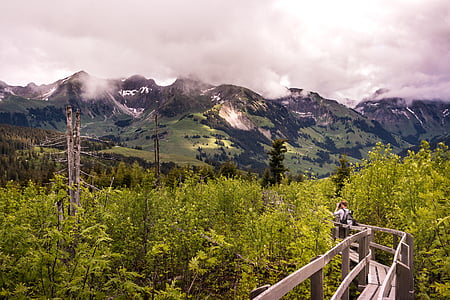 person walking on gray wooden bridge between forest