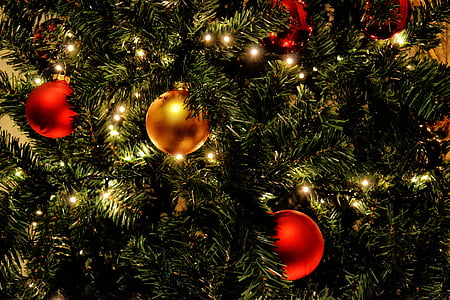two red and one gold Christmas balls on Christmas tree