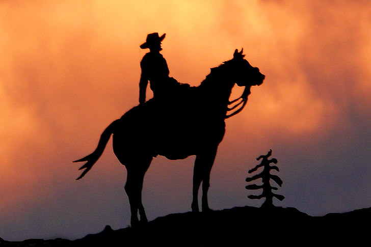 silhouette photo of person riding horse