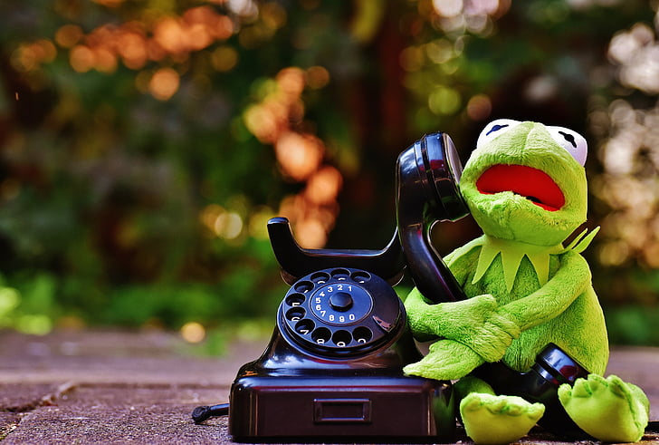 green frog plush toy holding rotary telephone