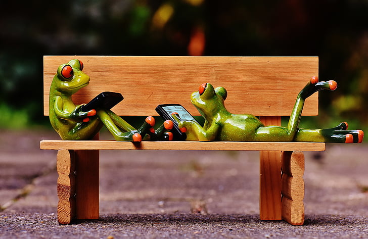 two green frog holding smartphone on brown wooden bench figure taken at daytime
