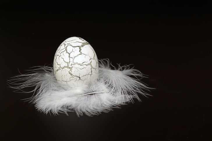 gray and black egg decor with white feather