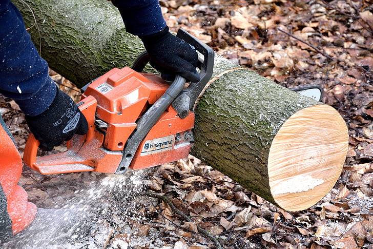 person cutting log
