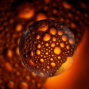 orange microscopic organism graphic