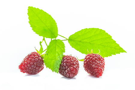 red raspberry fruits
