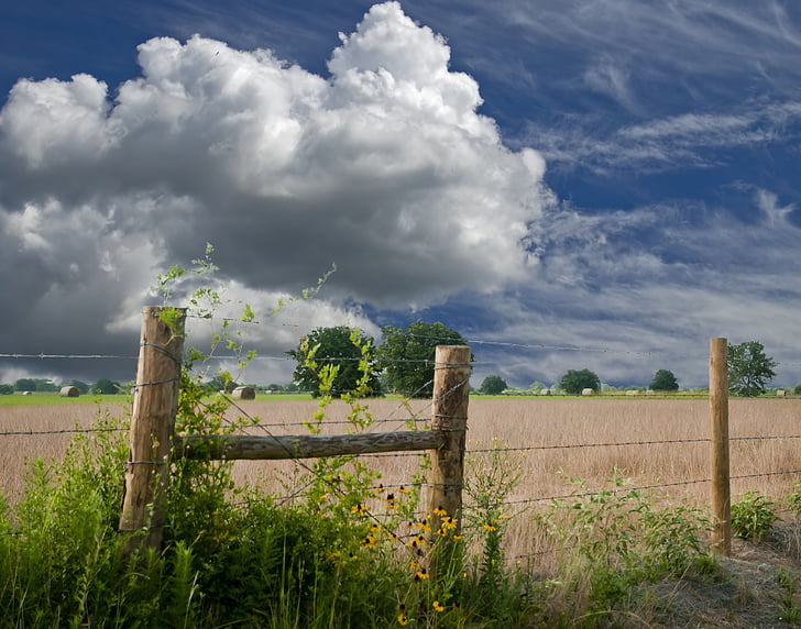 nimbus cloud over grass field