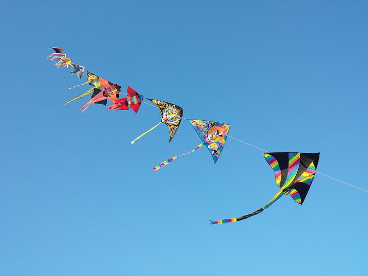 selective focus photograph of kite