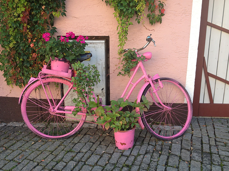 pink bicycle planter stand beside the wall