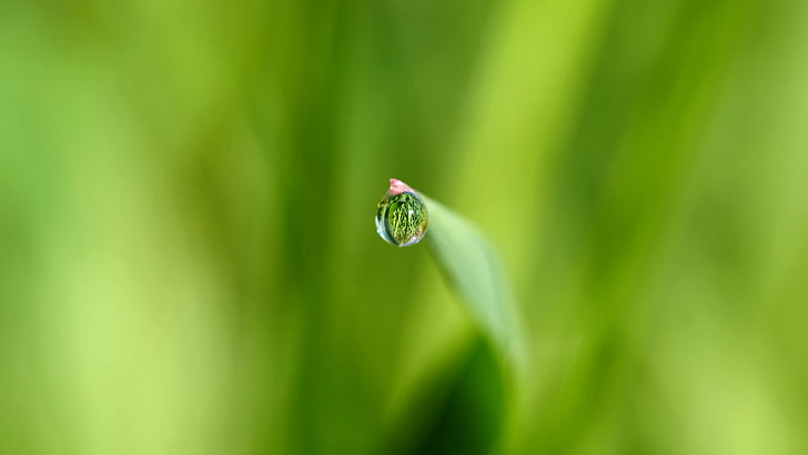 shallow photography of water drop
