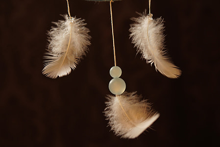 three white and brown feathers