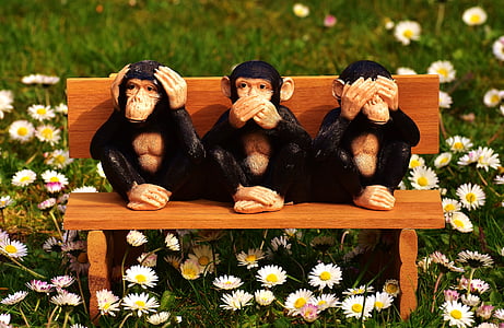 three wise monkey sitting on bench
