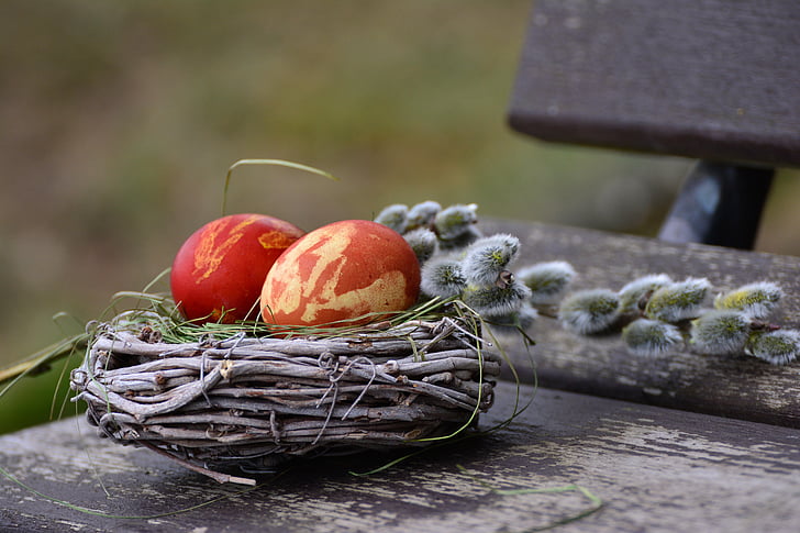 two red eggs on brown bird nest