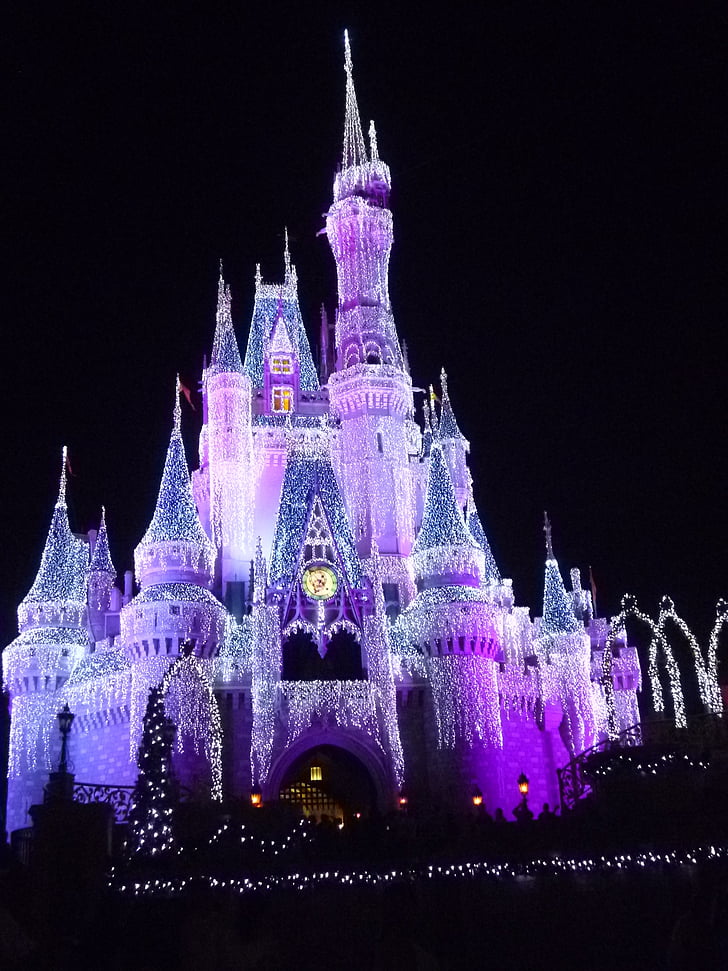Disneyland castle with lights during daytime