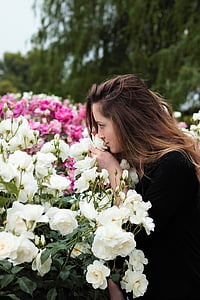 closeup photo of woman smelling white rose flower