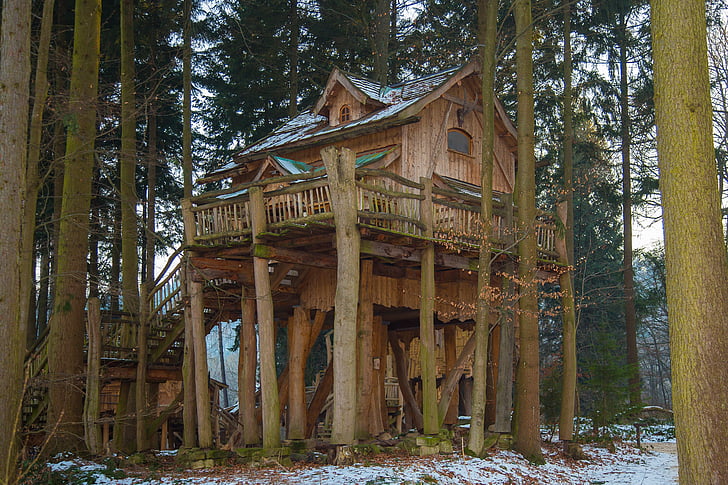 brown tree house surrounded by trees
