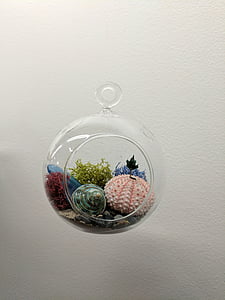 clear glass fishbowl