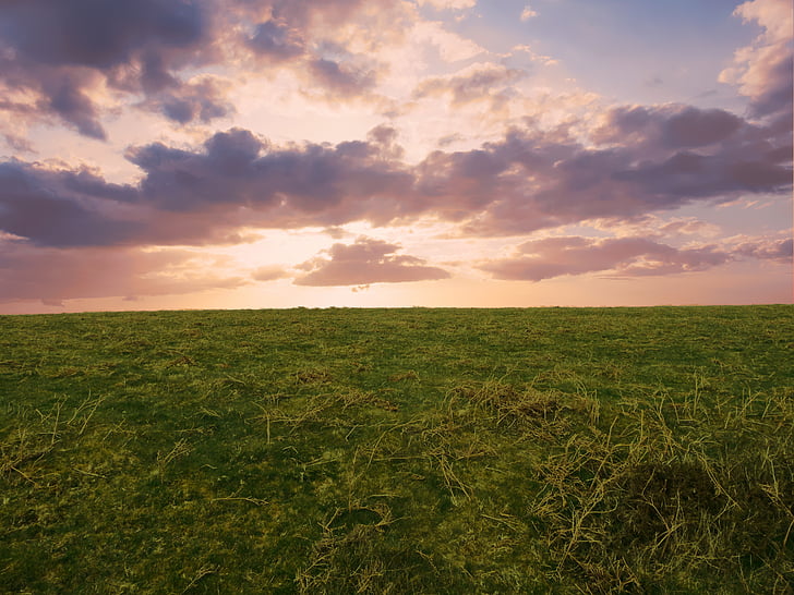 landscape photography of green grass field during day time