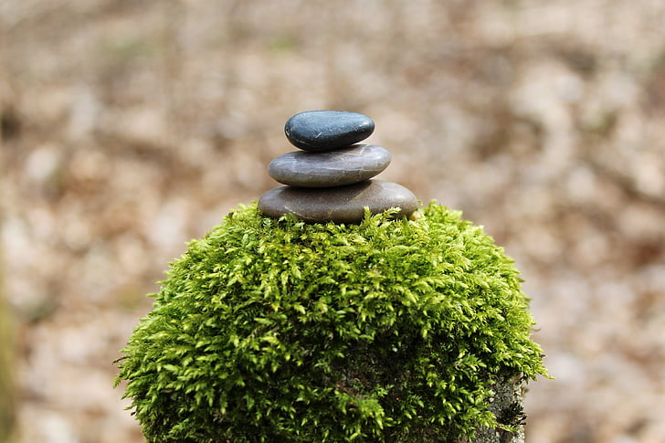 selective focus photo of stone stack on top of green plant