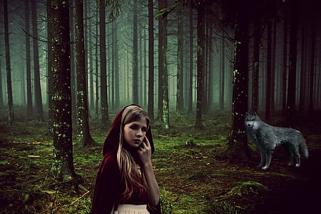Little Red Riding Hood and gray wolf poster