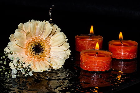 white daisy flower near lighted tealight candles