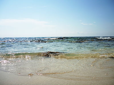 clear beach during daytime
