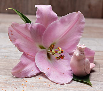pink flower beside white ceramic bird figurine